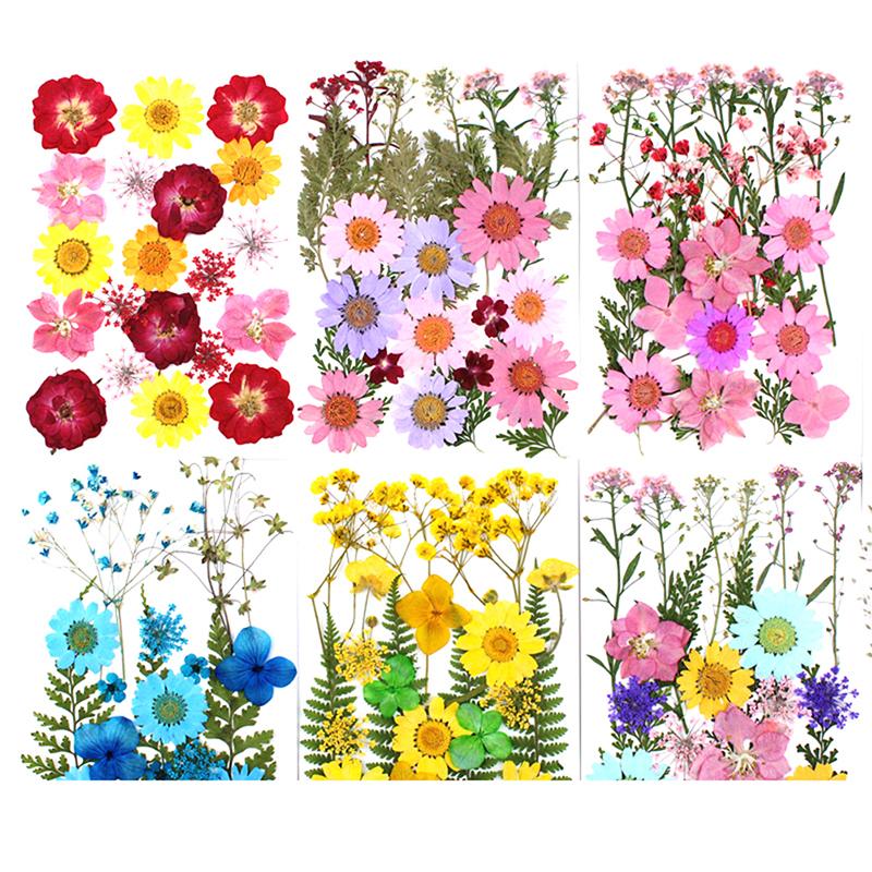 24Pcs Pressed Flower Mixed Dried Flowers Diy Art Floral Decors Collection Gift