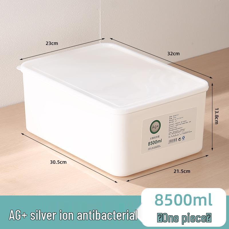 Large Capacity Fresh-Keeping Storage Box for Steamed Buns and Dumplings