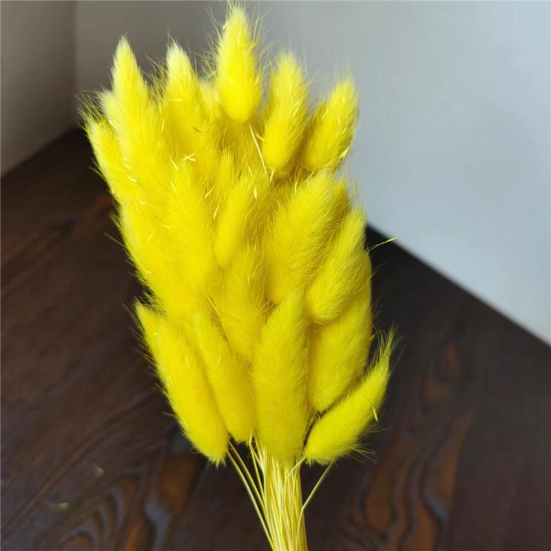 Yunnan Dried Flowers Bouquet - Rabbit Tail Grass