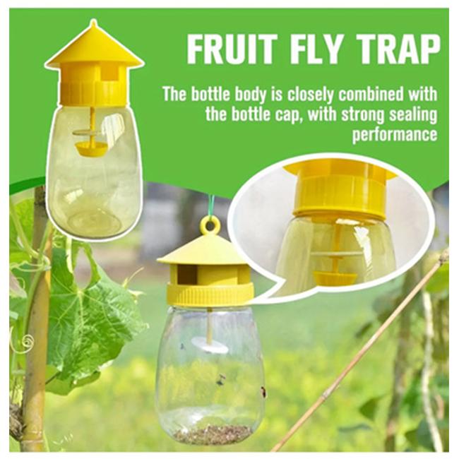 1 Piece Sustainable and Reusable Fruit Fly Trap - Non-toxic, Requires No Electricity, Suitable for Pest Control In Kitchens and Orchards