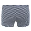 Regatta Womens/Ladies Striped Bikini Bottoms