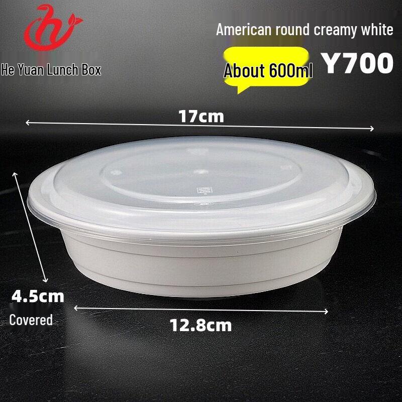 American Style Rectangular Disposable Lunch Box