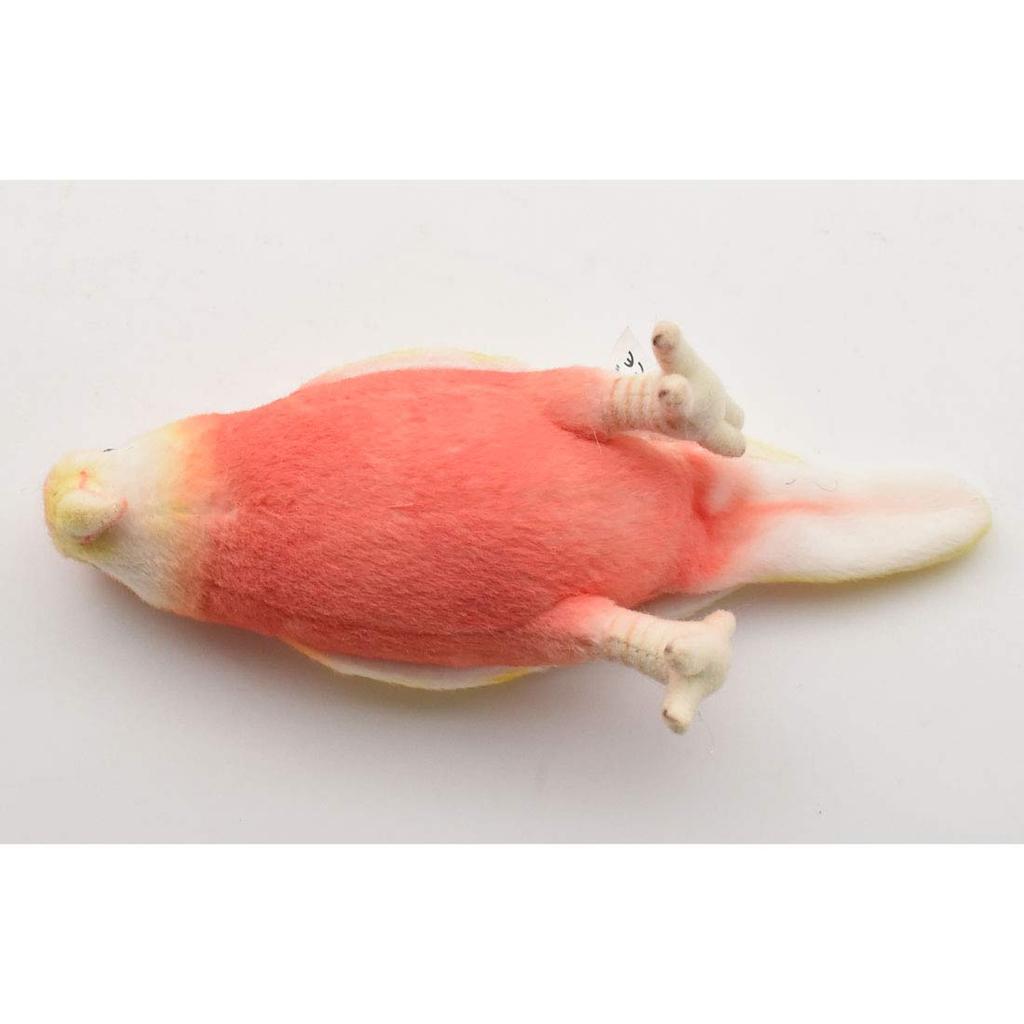 BH7637 HANSA Great Cricket Rosella 14