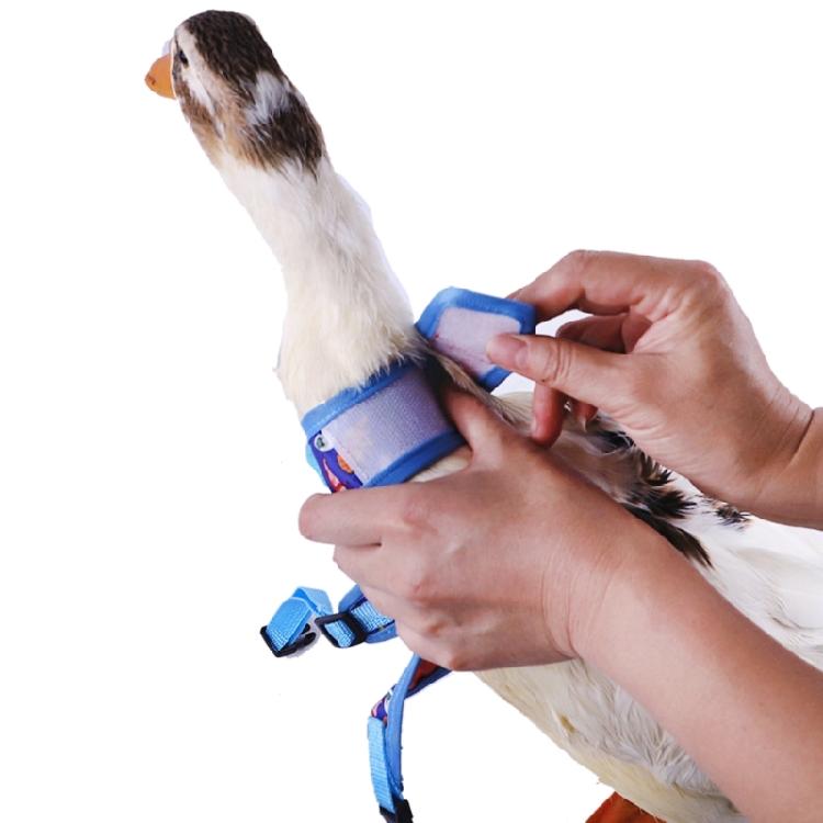 Rabbit Harness and Leash Small Animal Clothes for Rabbit Duck Small Animal