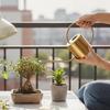 Watering Can Small Watering Can for Indoor Plant Stainless Steel Indoor Watering Can with Long Spout 1300ml