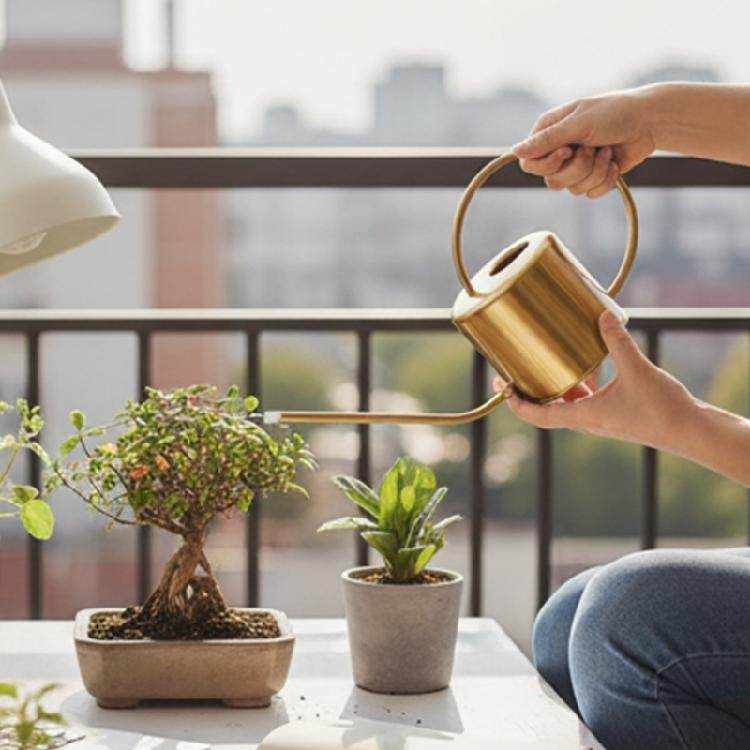 Watering Can Small Watering Can for Indoor Plant Stainless Steel Indoor Watering Can with Long Spout 1300ml