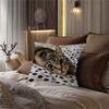 1Pc Lying Tabby Cat Themed Printed Throw Pillow Cover, Suitable For Sofa, Bedroom, Living Room, A Healing Gift For Cat Lovers.