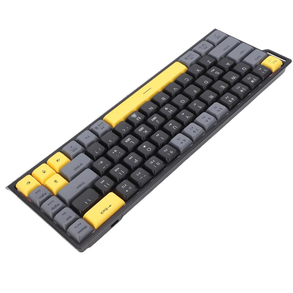 Wired Computer Keyboard Quiet Anti Ghosting RGB Backlit Slim 68 Keys Keyboard Scissor for Work Gaming