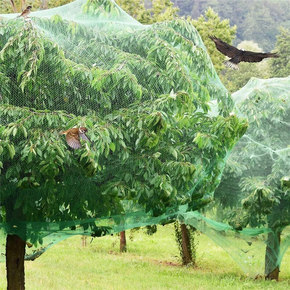 Grünes Vogelnetz – Strapazierfähiges Gartennnetz zum Schutz von Pflanzen & Obstbäumen – UV- & Frostschutz, Wiederverwendbar – Verschiedene Größen erhältlich