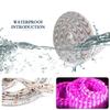 LED Grow Light Full Spectrum USB Grow Light Strip 0.5m 1m 2m 3m 2835 DC5V LED Phyto Lamp Tape for Seed Plants Flowers Greenhouse