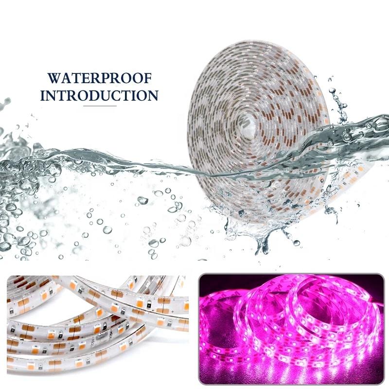 LED Grow Light Full Spectrum USB Grow Light Strip 0.5m 1m 2m 3m 2835 DC5V LED Phyto Lamp Tape for Seed Plants Flowers Greenhouse