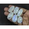 235Cts. Natural Rainbow Moonstone Oval Cabochon Loose Gemstone 06 Pcs Lot C-1651