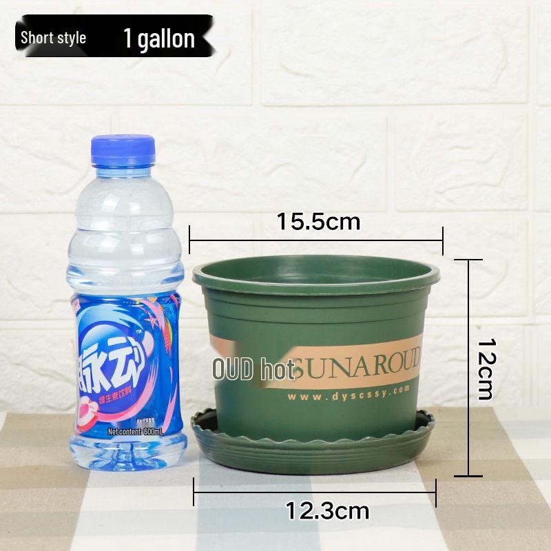 Durable Plastic Resin Plant Pot for Small Succulents & Large Bonsai, Breathable & Thickened for Balcony or Desktop Use.