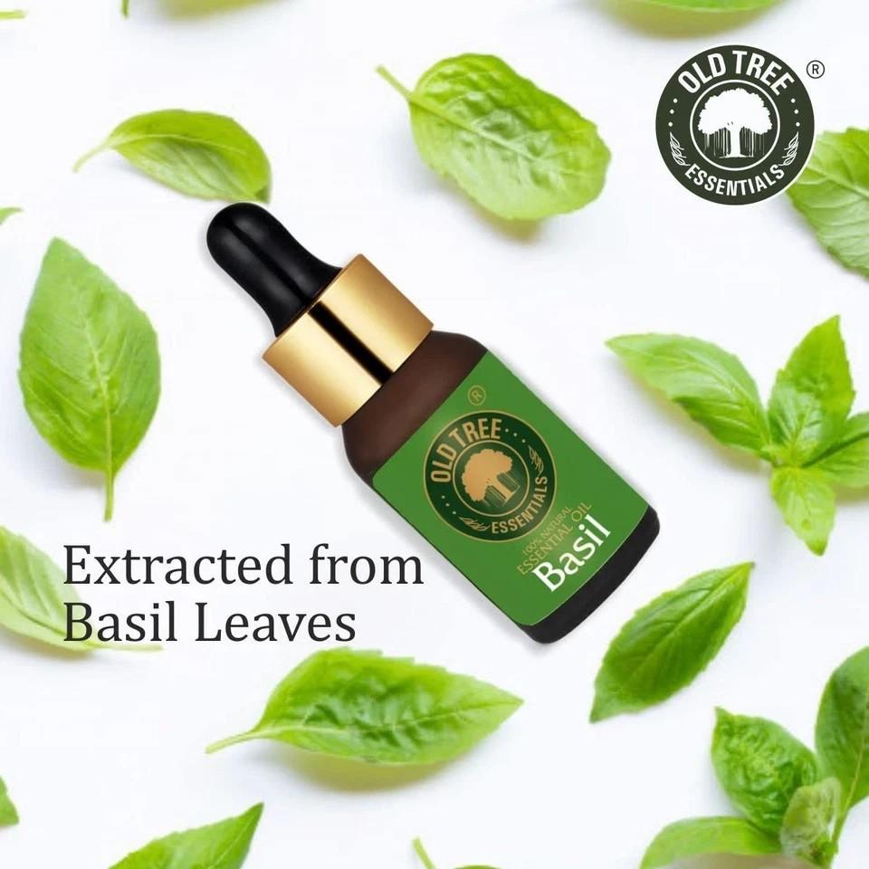 Old Tree Basil Essential Oil 15ml
