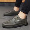 Daren Autumn New Business Low-top Small Leather Shoes Youth Driving Casual Shoes