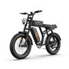 URLIFE T2 Elektrické kolo pro dospělé, Vyjímatelná baterie 48V 15,6Ah, Velké pneumatiky 20x4,0 palců, Dojezd 80-100 km