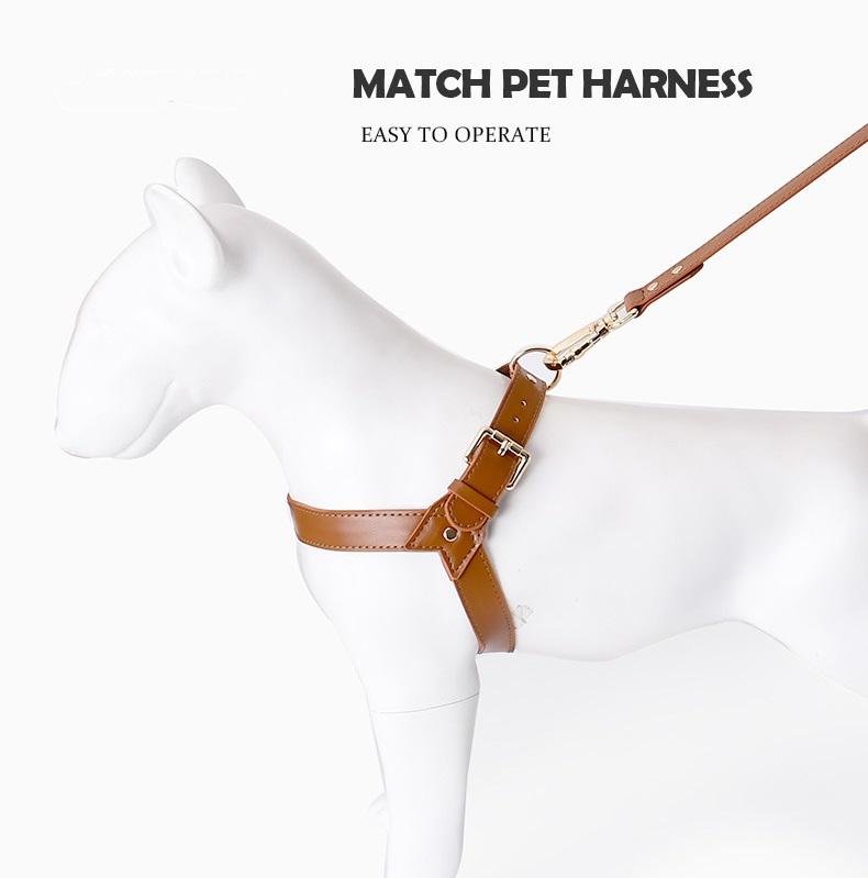 Most Popular in 2025 Stocked Waterproof Leather Dog Chest Harness Pet Leash Set for Small and Medium-Sized Dogs Dog Harness