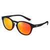 Daiwa Triacetate Polarized Glasses DN-8014 Gray Red Mirror