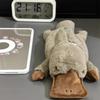 Plush Platypus Doll Pen Bag Ins High Value Soft Cute Cure Decompression Doll Students Learning Stationery Storage Bag
