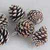 Small Pine Cone Pendants: Creative DIY Christmas Tree Ornaments & Holiday Decoration Photography Props