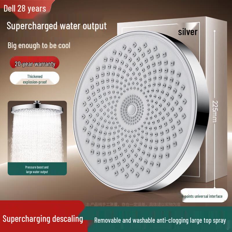 Del High-Pressure Shower Head