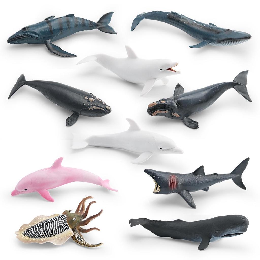 Children's Marine Life Humpback Whale Model Toy Simulation