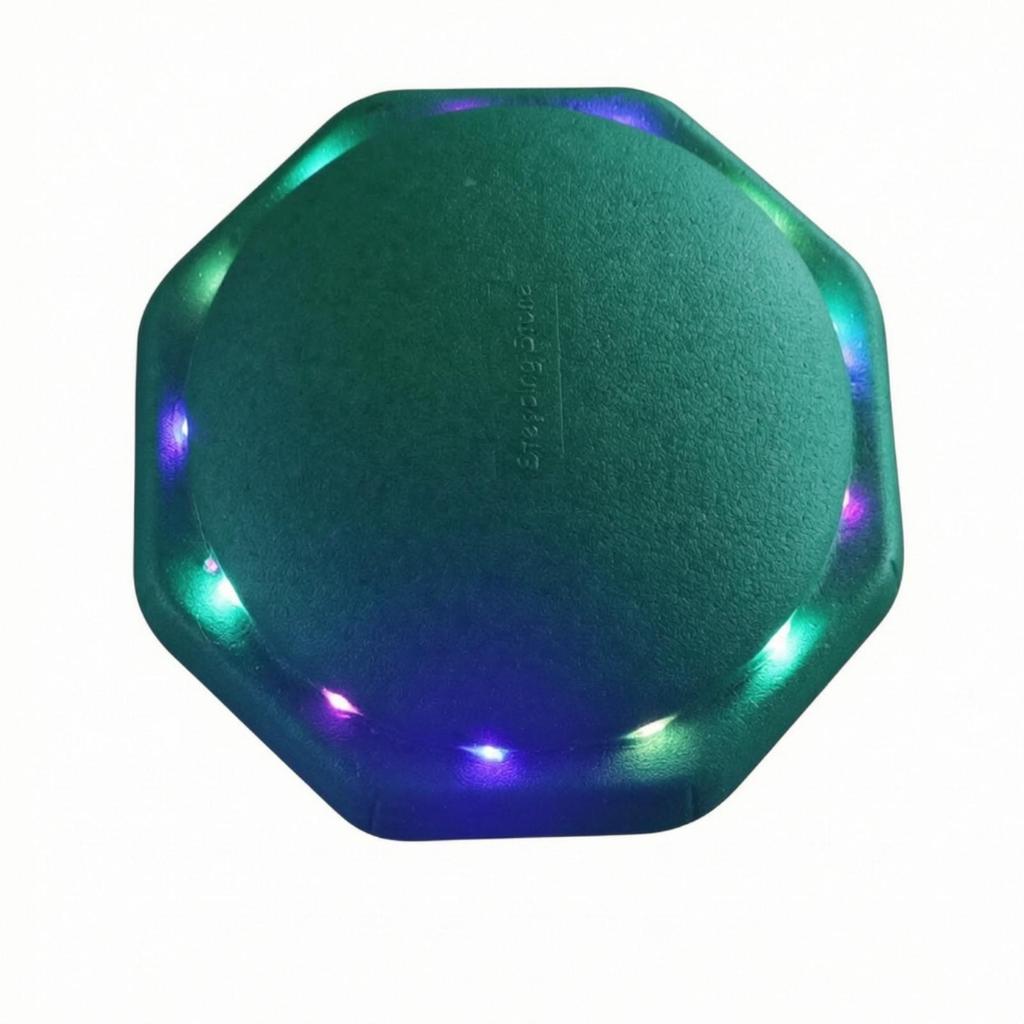 Glowing Stepping Stone Lightup Pad with Lights Sensory Balance Stones for Kids,