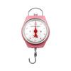 High Quality 5/10kg Mechanical Vintage Portable Spring Balance Hook Scale For Hanging Option Pocket Luggage Scale
