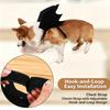 Halloween Bat Wings Costume for Dogs & Cats, Adjustable Felt Pet Bat Wing Dress-Up Accessory, Cute Puppy Holiday Party Outfit Pet Supplies