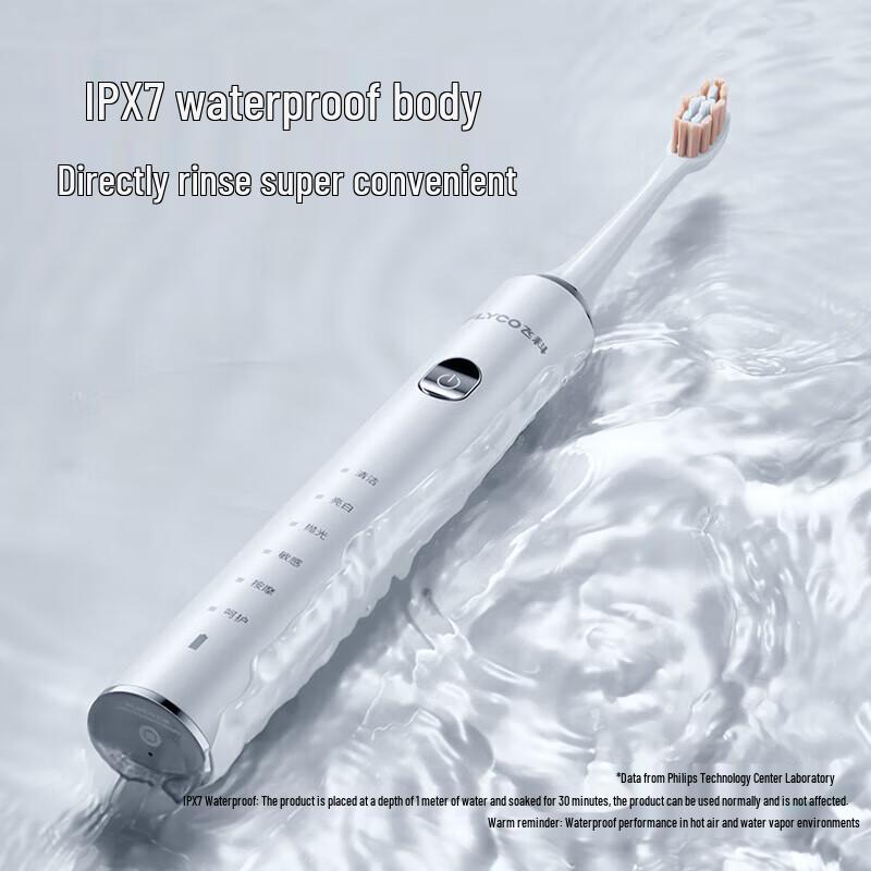 FLYCO FT7205 Sonic Electric Toothbrush