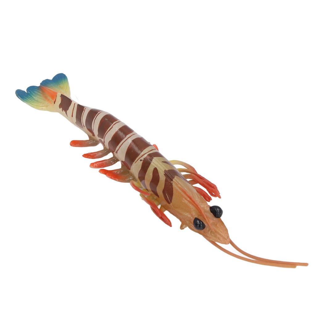 Marine Prawn Animal Model Early Learning Educational Vivid Simulation Home Decoration Sea Animal