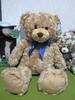[USED] Honey teddy bear plush toy with tag, large size, 52cm! BIG!