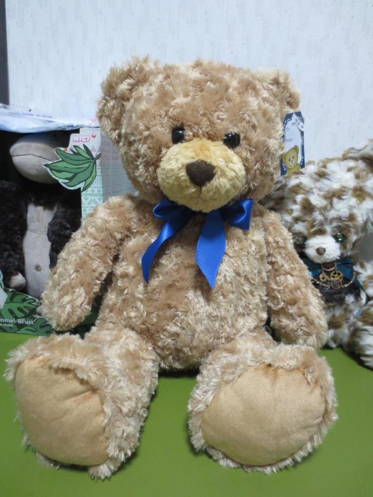 [USED] Honey teddy bear plush toy with tag, large size, 52cm! BIG!