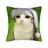 Pillow Case Space Banana Aliens Cat Square  Pillow Cover For Couch Sofa Bedroom Novelty Pillowcases