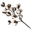 50cm Cotton Stems Decoration 12 Cotton Bolls Cotton Stalks Branch for Home Decor Wedding Centerpiece Farmhouse Decoration