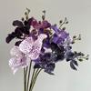 Moisturizing Phalaenopsis Vanda Orchid for Wedding and Home Decor