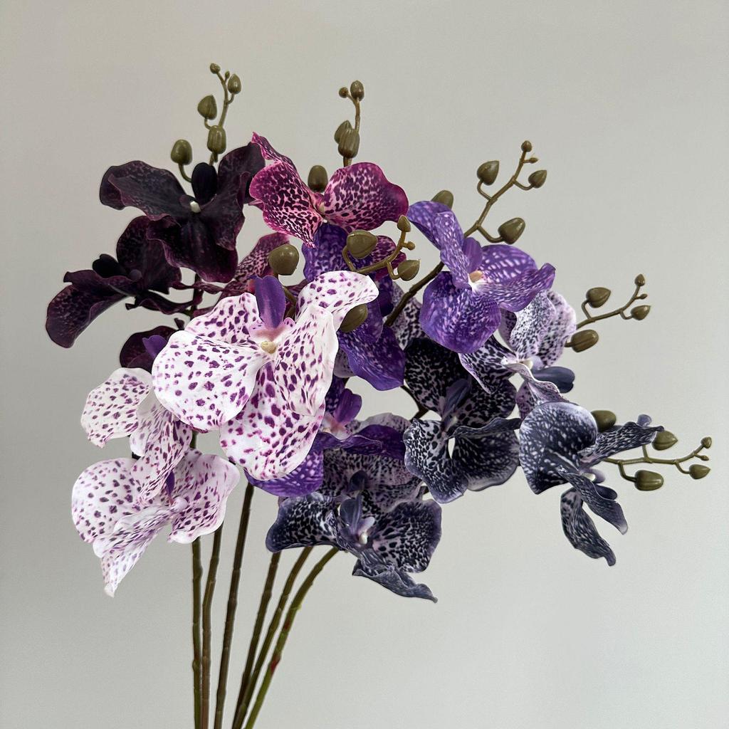 Moisturizing Phalaenopsis Vanda Orchid for Wedding and Home Decor
