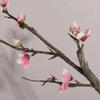 Branch 54cm Table Ornaments Home Decor Wedding Decoration Decorative Plum Branch Fake Flower Plum Bossom Artificial Flowers