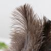 Telescoping AntiStatic Ostrich Feather Duster Adjustable Handle Dusting Tool For Home Car Office Multiple Surfaces Use