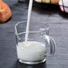 Cabilock Double Spouts Espresso Shot Glass Cup with Scale Temperature Resistant Glass Measuring Cup with Pouring Handle