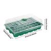 3 Pcs Seed Tray, 40 Holes Cell Propagator Growth Thickening Seedling Start Growth Tray With Transparent Cover Greenhouse And Gar