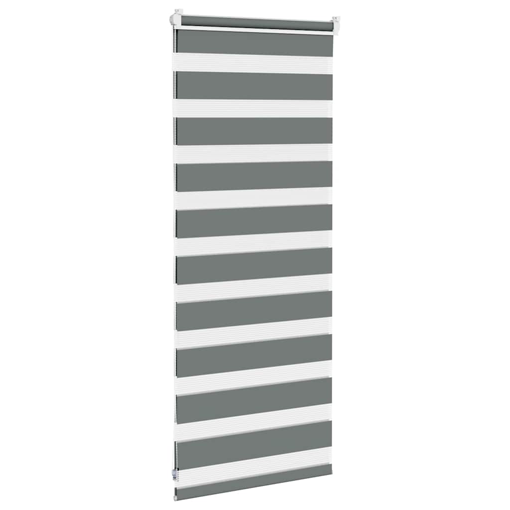 Double Zebra Blind Dark Grey 60x100 cm Fabric Width 55.9 cm Polyester