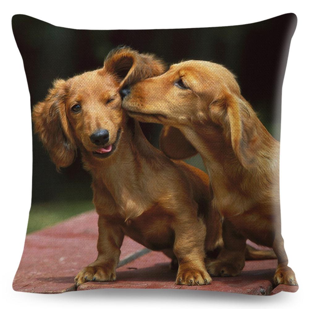 

Мини-наволочка для собаки таксы, декор для домашних животных, наволочки, полиэстеровая наволочка для дивана, дома, автомобиля, детская комната 45x45 см 40x40cm16x16Inch