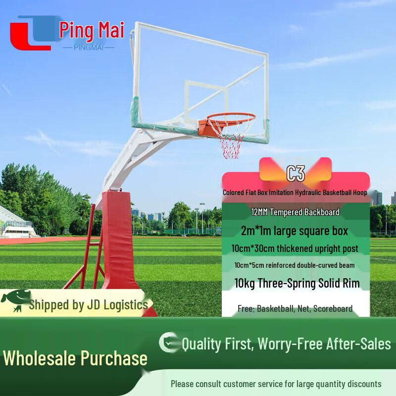 Pingmai Portable Basketball Hoop