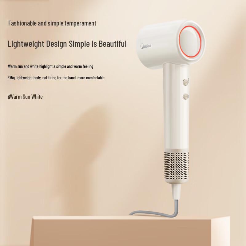 Midea FG201 High-Speed Hair Dryer CN plug (adapter included)