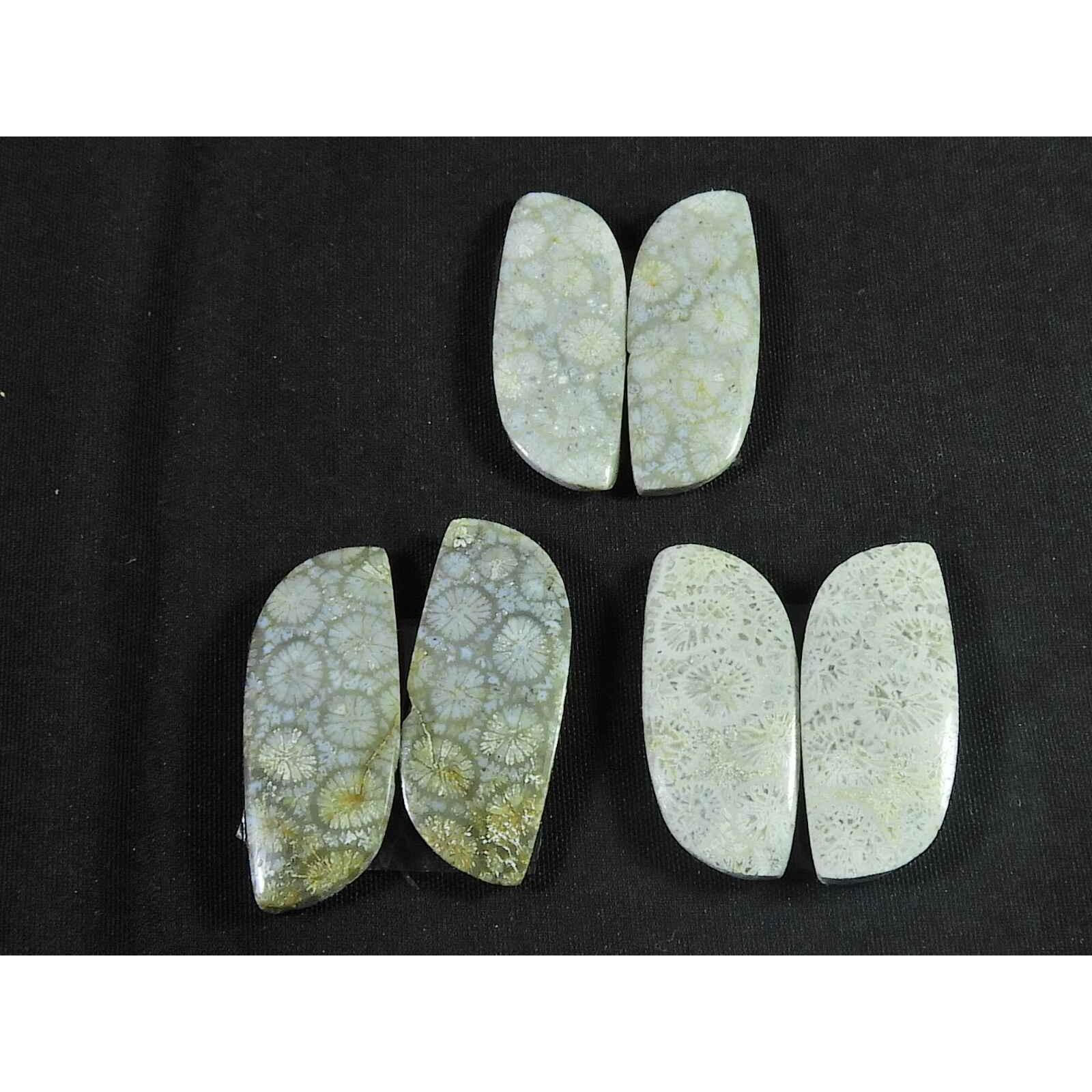 

25-25mm AAA Fossil Coral Matched Pair Fancy cabochon loose Gemstone 3Pcs Lot SK-3004