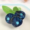 Non Slip Fruit Hair Claw Secure Hold Shark Hair Grip Temperament Acetate Hair Clips  Ponytails
