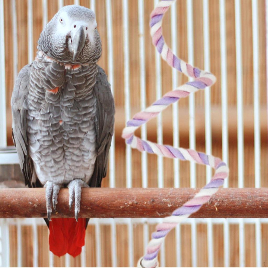 Adjustable Rope Perch for Bird Cages, Climbing Toy Parakeet and Parrot