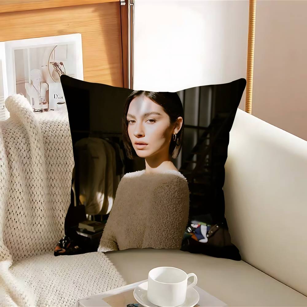 Singer Gracie-E Abrams-S Pillow Case Removable Washable Cushion Cover – All-Season Soft Linen