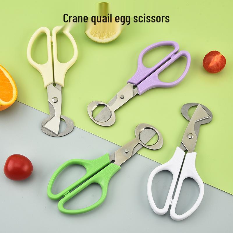 Stainless Steel Quail Egg Opener Scissors - Eggshell Cutter and Kitchen Shears